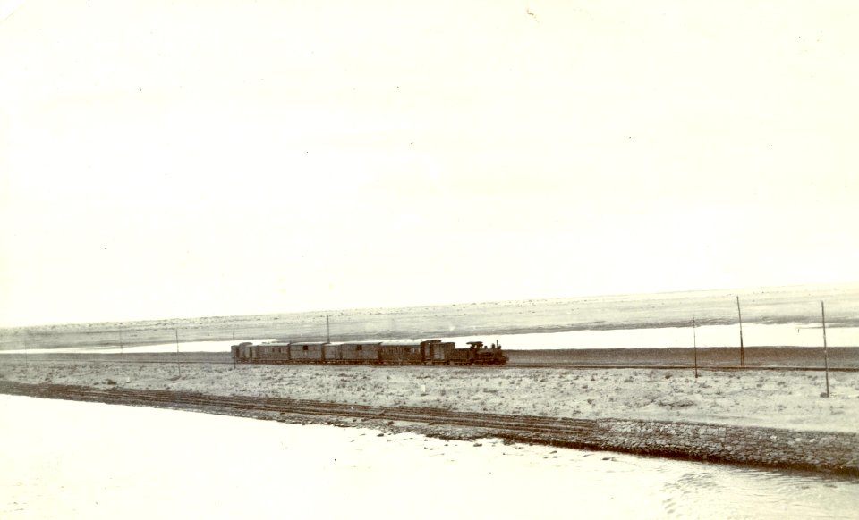 Pre-WWI photo of an Egyptian Delta Light Railways, close to the Suez Canal, with a Krauss 2-4-0 steam locomotive