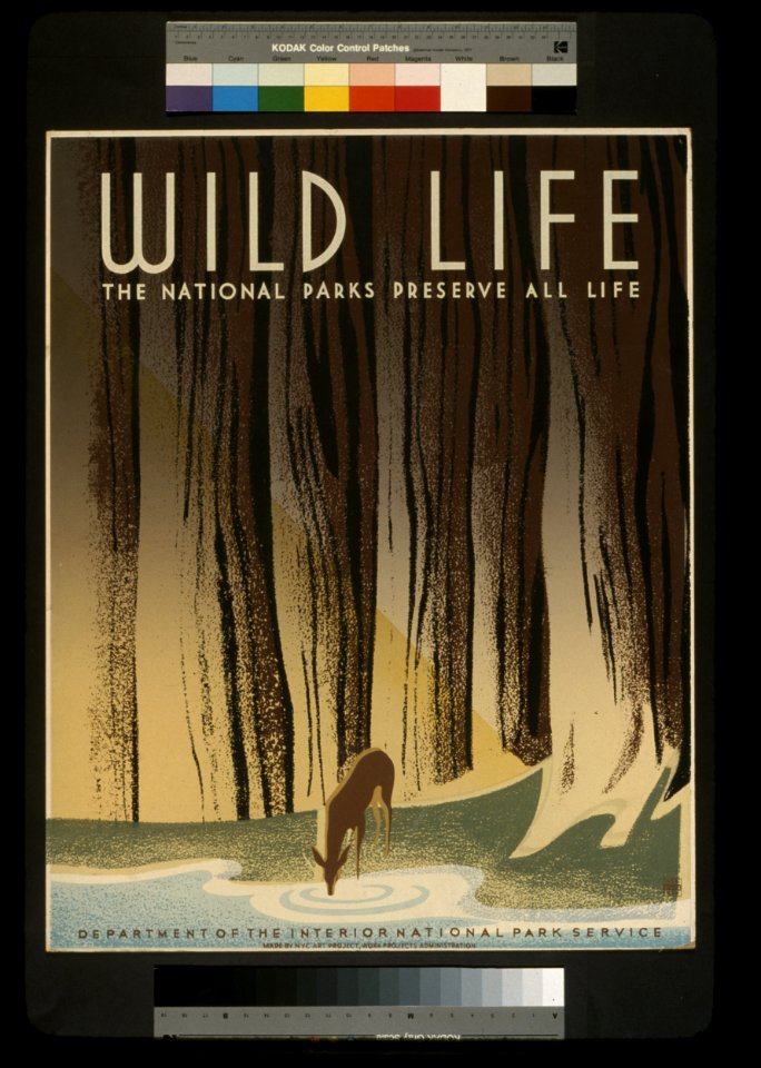 Preservewildlife
