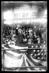 Pres. Wilson, opening ballgame, Wash., D.C. ,1916 LCCN2016851233