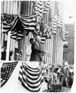 Pres. Woodrow Wilson speaking outside of Treasury Dept., Flag Day, 1915 LCCN2003663772