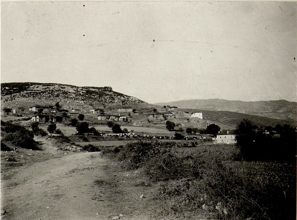 Prenja im Longaicatal. (BildID 15531940)