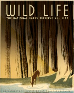 Preservewildlifeb
