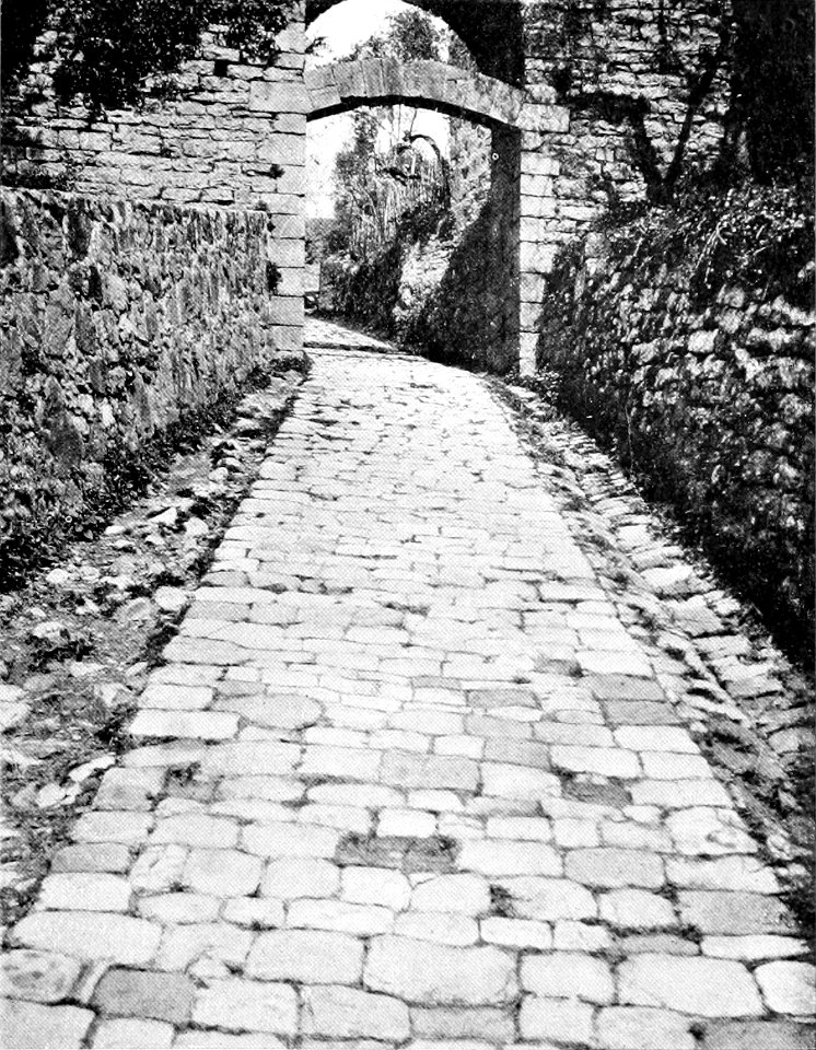 Prato e suoi dintorni (page 67 crop)