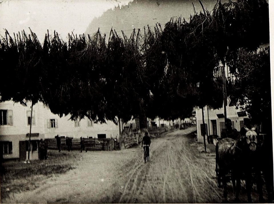Predazzo Strassenmaskierung. (BildID 15575438)