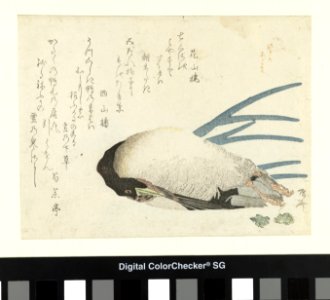 Prei in lichte sneeuw Negi no awayuki (titel op object), AK-MAK-943