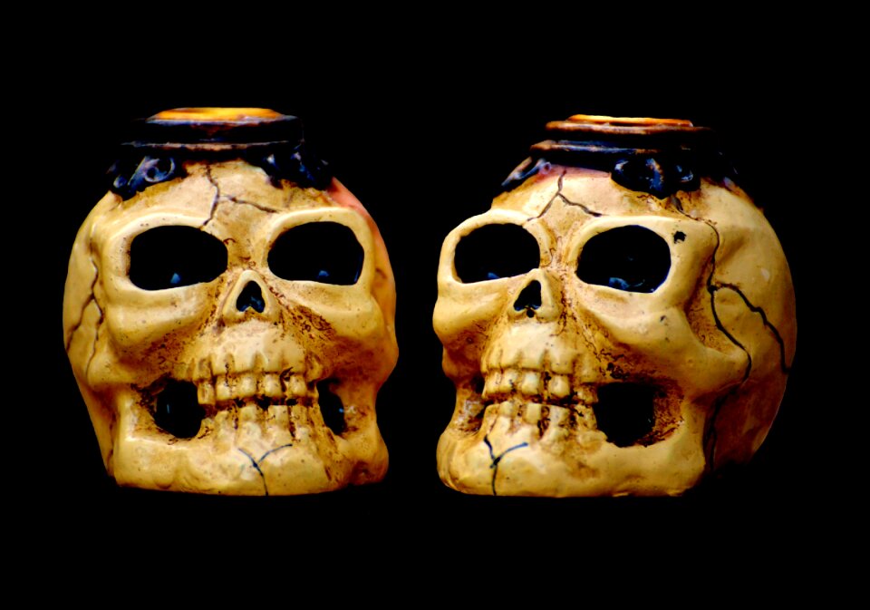 Skull skull bone weird