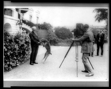 President Harding with pet dog Laddie, being photographed in front of the White House LCCN96522830