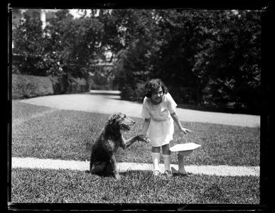 President Harding's dog Laddie Boy White House, Washington, D.C. LCCN2016891549