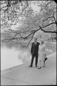 President and Mrs. Nixon strolling beneath the cherry blossoms at the Tidal Basin in Washington D.C. - NARA - 194622