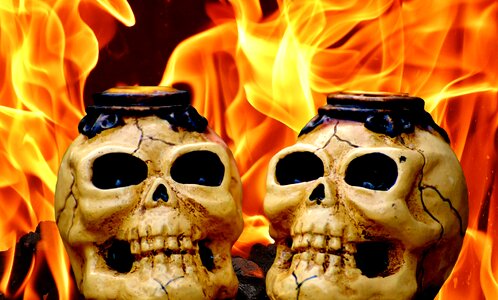 Skull skull bone weird
