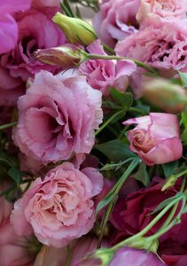 Blossom bouquet summer