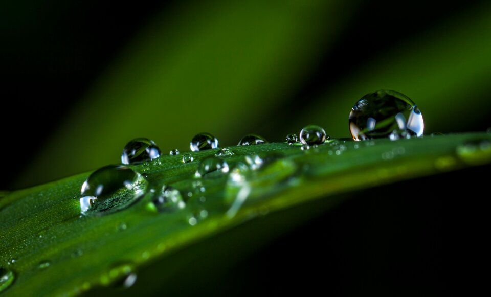 Nature macro sheet