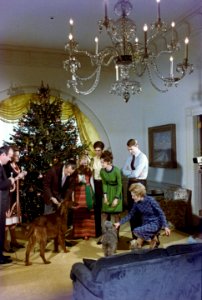 President Richard Nixon, the First Family and Pets, and Newscasters