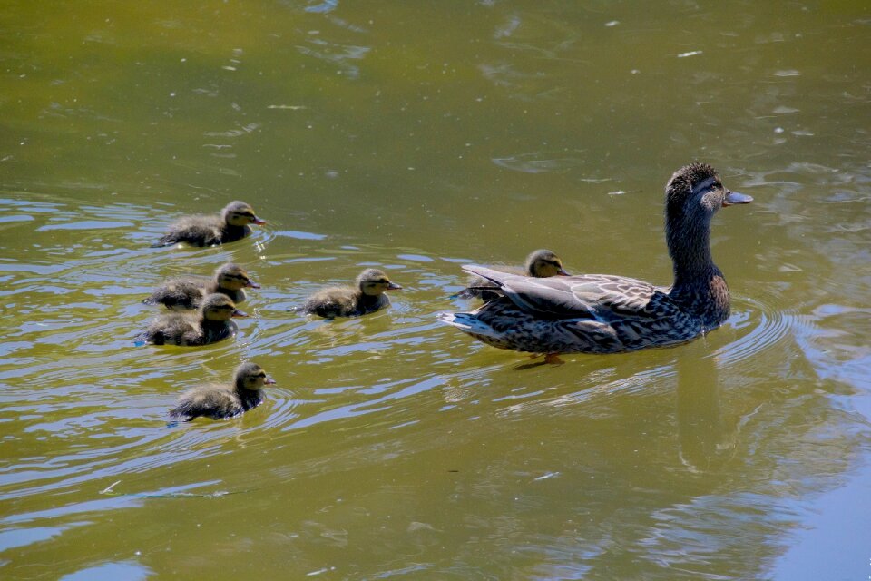 Family nature water