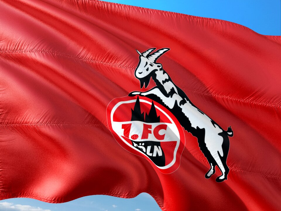 Football bundesliga 1 fc cologne