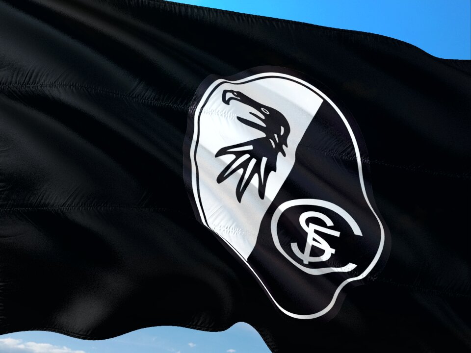 Football bundesliga sc freiburg
