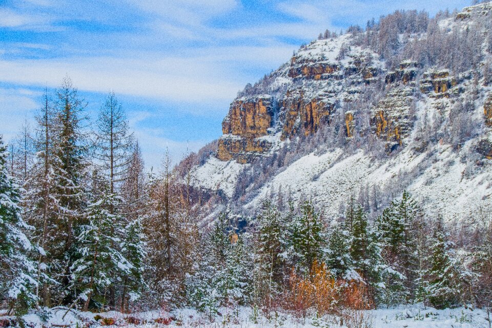 Cold mountain wood