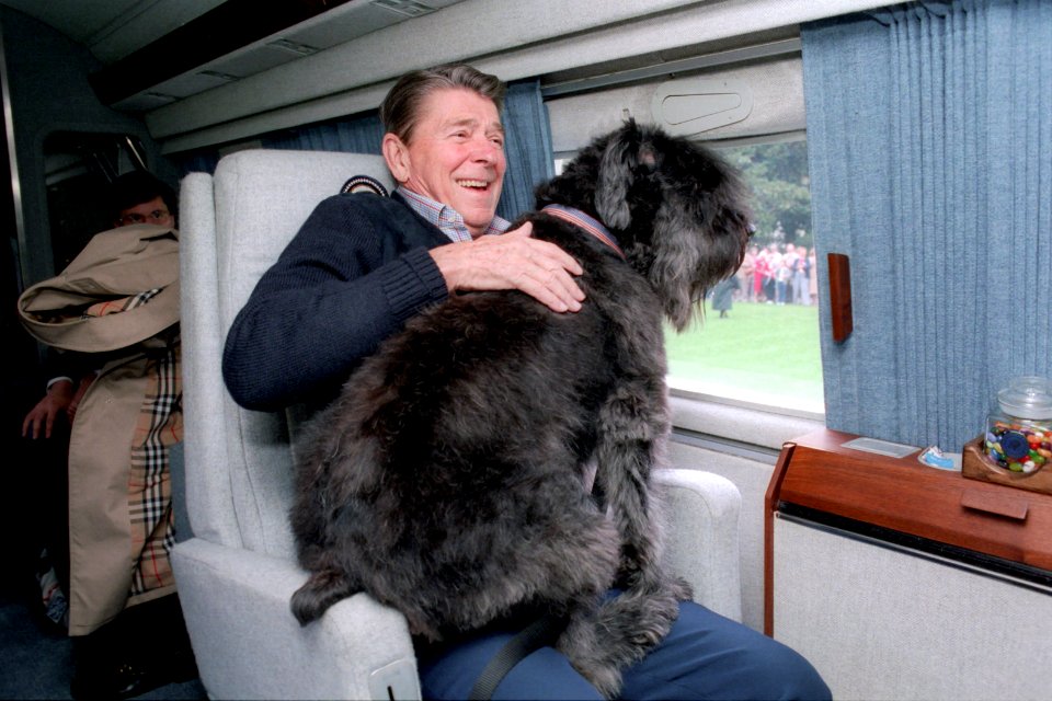 President Ronald Reagan aboard the helicopter with his dog Lucky on his lap