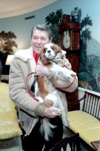 President Ronald Reagan holding Rex the dog in Diplomatic Reception Room