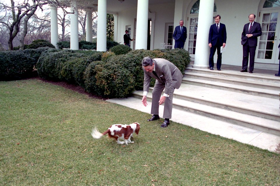 President Ronald Reagan petting Rex the dog