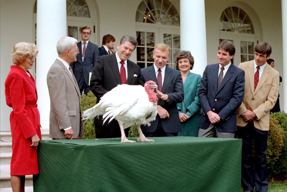 President Ronald Reagan receives the 35th White House Thanksgiving Turkey 1982