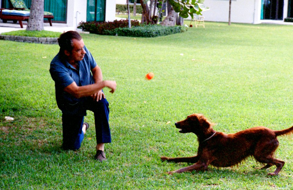 President Richard Nixon Tossing a Ball to Irish Setter King Timahoe in Key Biscayne, Florida