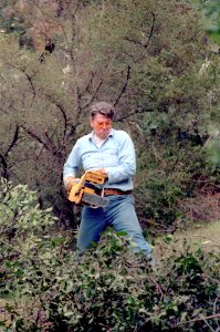 President Ronald Reagan clearing brush at Rancho Del Cielo photo