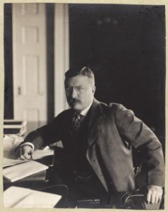 President Roosevelt in his new private office LCCN99471935