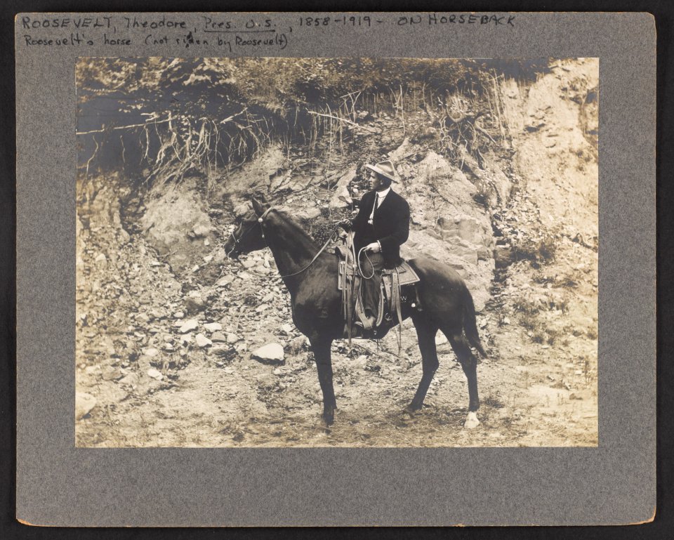 President Roosevelt's horse Wyoming LCCN2010645457