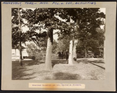 President Roosevelt and Col. Herrick at Glenmere LCCN2013649499