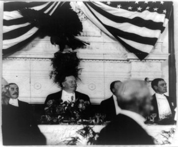 President Taft at dinner, with eagle and U.S. flag behind him LCCN92519793