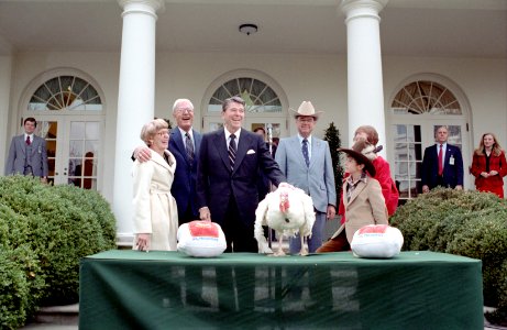 President Ronald Reagan during White House Ceremony to Receive Thanksgiving Turkey