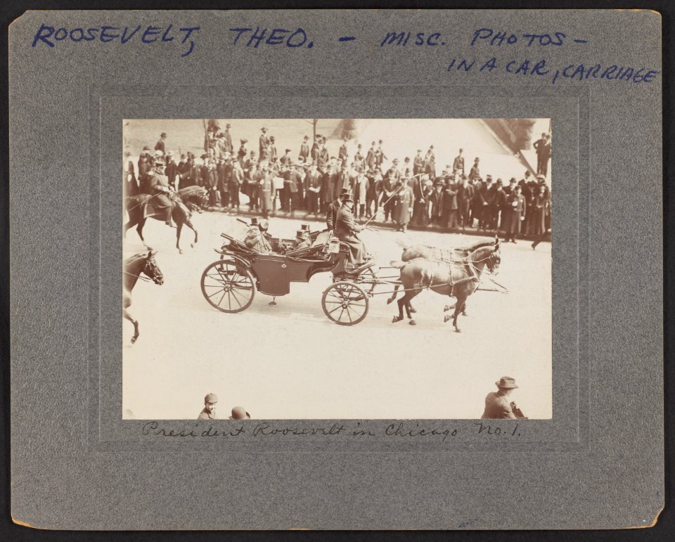 President Roosevelt in Chicago LCCN2013651463