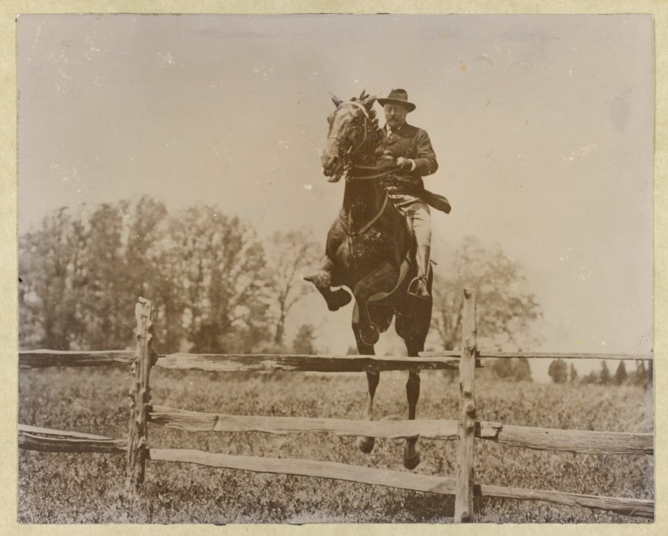 President Roosevelt on horseback jumping over a split rail fence LCCN2010645459