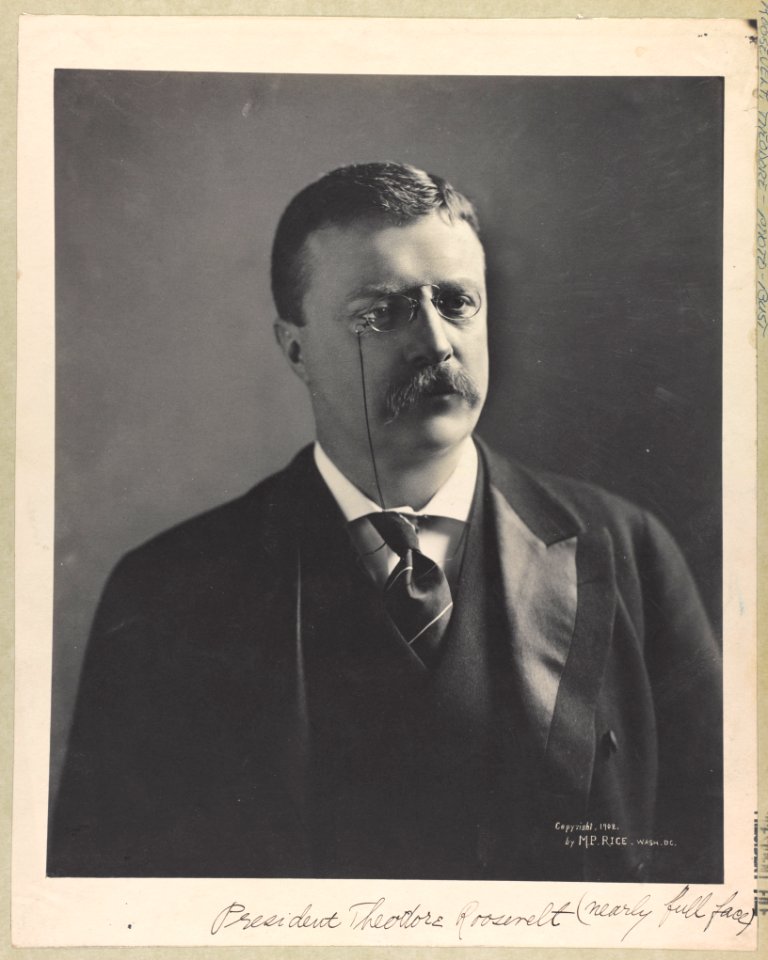 President Theodore Roosevelt (nearly full face) LCCN97504551