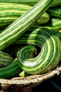 Vegetable food healthy