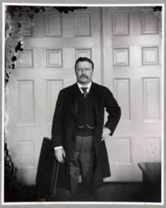 President Theodore Roosevelt in his office LCCN2013649579