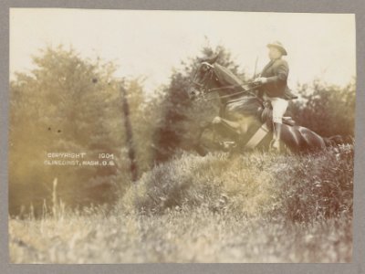 President Theodore Roosevelt on horseback jumping over grass LCCN2013649489