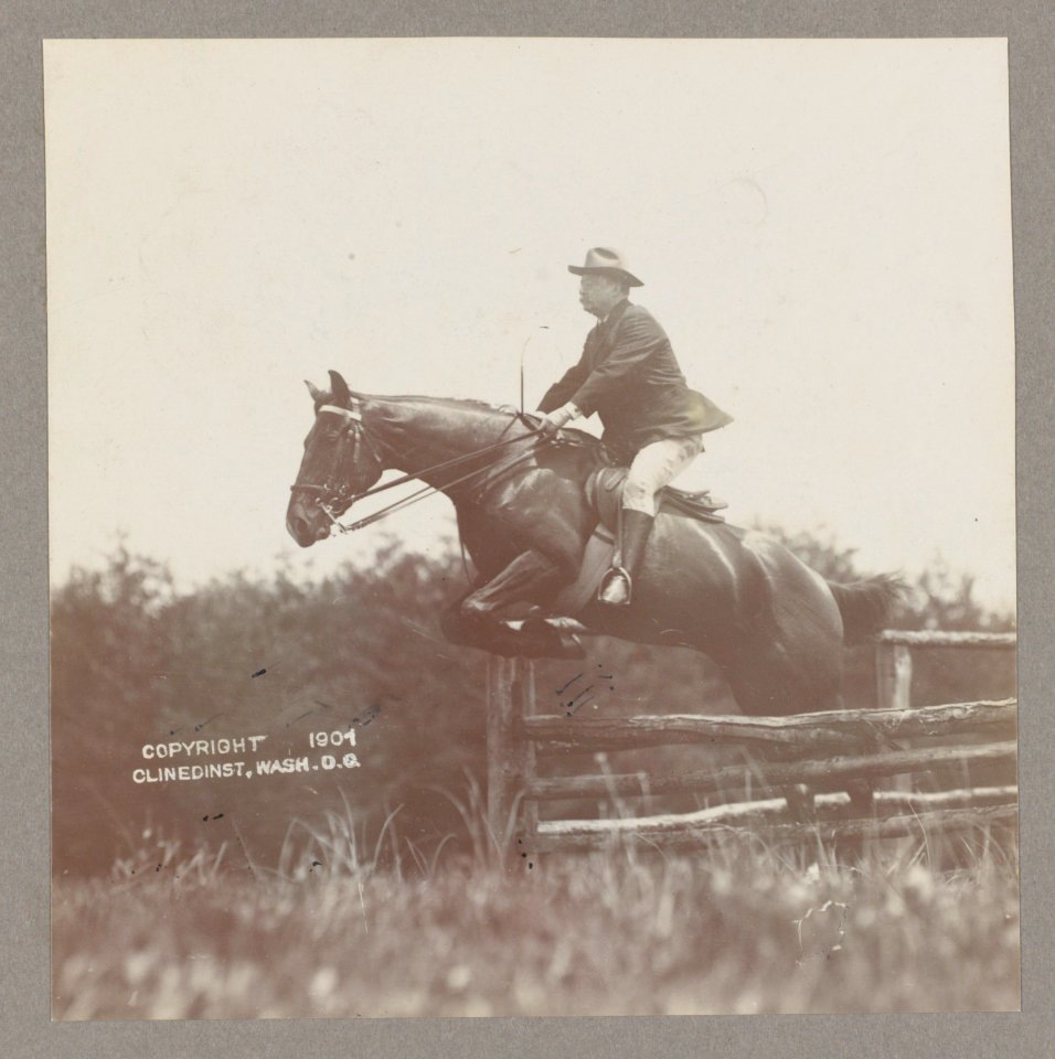 President Theodore Roosevelt on horseback, jumping over a fence LCCN2013649486