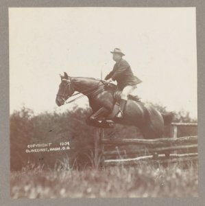 President Theodore Roosevelt on horseback, jumping over a fence LCCN2013649486