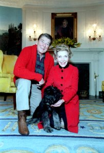 President Ronald Reagan and Nancy Reagan pose with their dog Lucky in the Diplomatic Reception Room