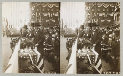 President Theodore Roosevelt standing with men viewing parade LCCN2013645460