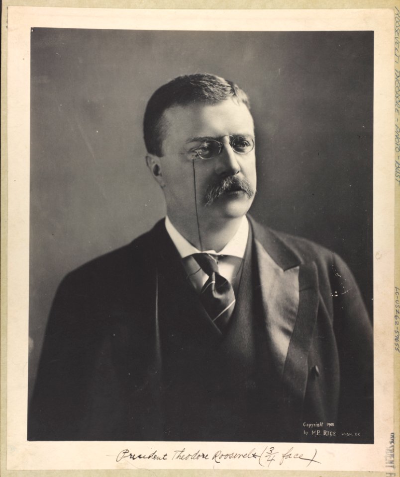 President Theodore Roosevelt (3-4 face) LCCN2005677947
