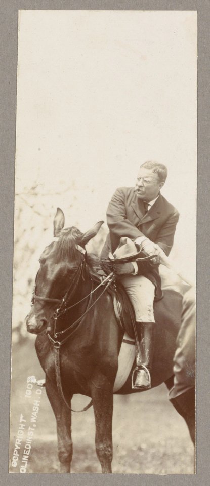 President Theodore Roosevelt on horseback shaking hands with person LCCN2013649487