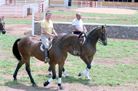 President Ronald Reagan riding horses with President Joao baptista de Oliveira Figueiredo of Brazil