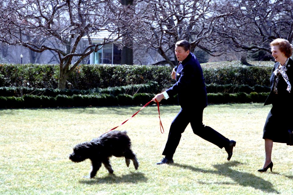 President Ronald Reagan walking his dog Lucky with Margaret Thatcher in the Rose Garden