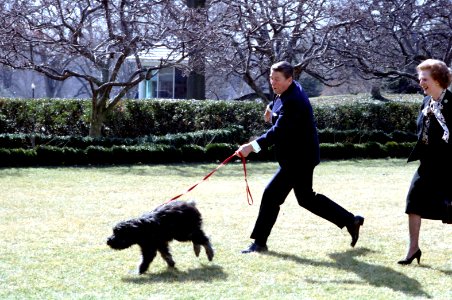 President Ronald Reagan walking his dog Lucky with Margaret Thatcher in the Rose Garden