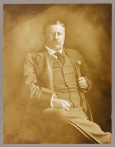 PresidentTheodore Roosevelt, three-quarter length portrait, seated, facing front, hand gripping jacket lapel LCCN2013649574