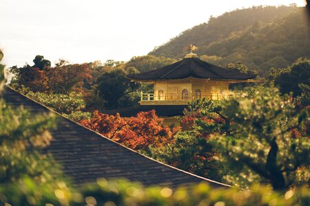 Mountain nature house