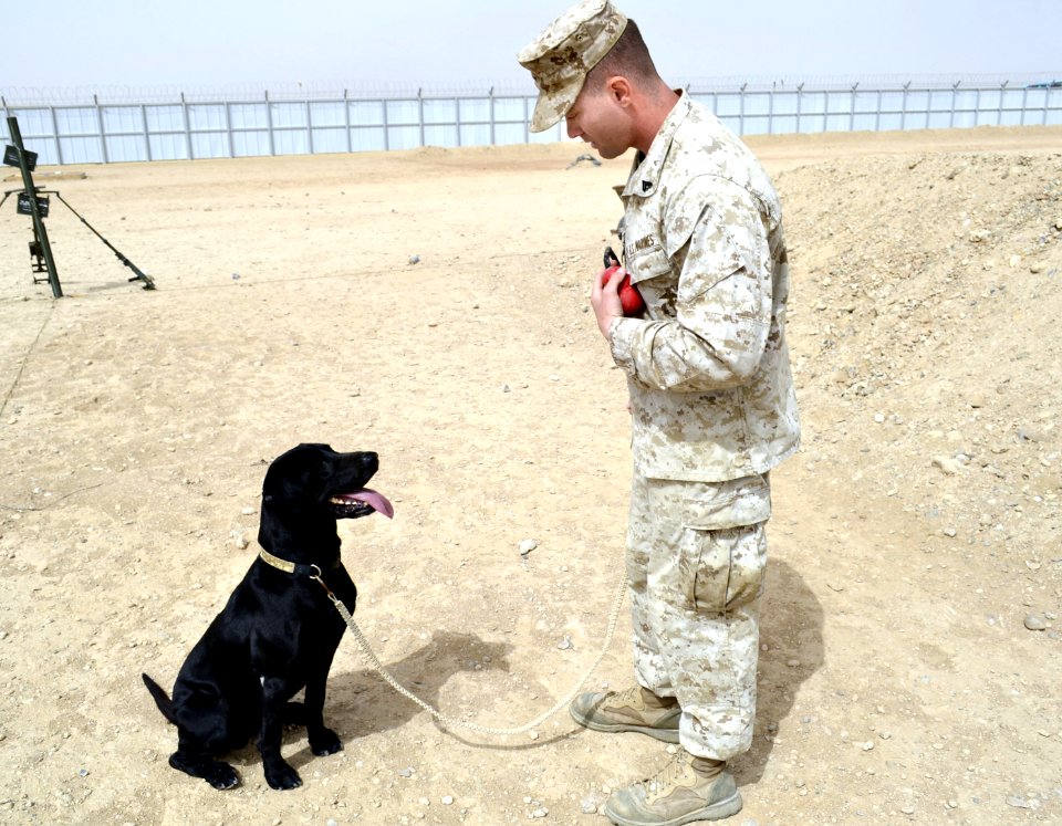 Preventing the boom, Coalition forces IED train 120324-N-LS301-234